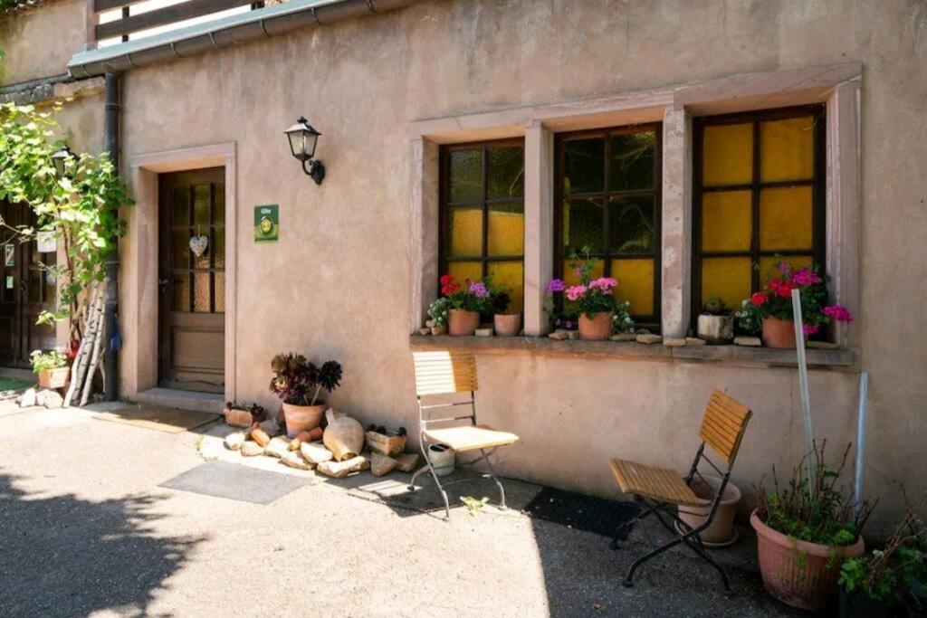Gite L'Oeuf Ou La Poule, Parking Prive, Sur Domaine Viticole Рибовиль Экстерьер фото